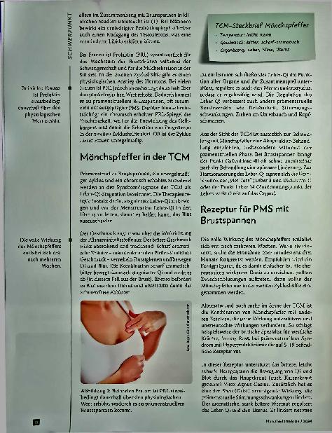 Vorschauseite 2: PMS natürlich begegnen: Mönchspfeffer aus Sicht der TCM