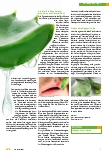 Vorschauseite 2: Aloe – 6000 Jahre alt und immer noch im Rennen