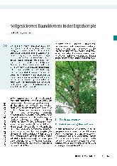 Vorschauseite 1: Seilgesichertes Baumklettern in der Ergotherapie