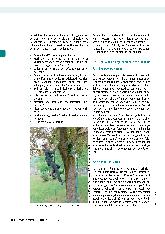 Vorschauseite 2: Seilgesichertes Baumklettern in der Ergotherapie