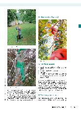 Vorschauseite 3: Seilgesichertes Baumklettern in der Ergotherapie
