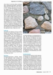 Vorschauseite 2: Adipositas im Alter