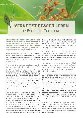 Vorschauseite 1: Vernetzt besser leben in Beruf und Gemeinde