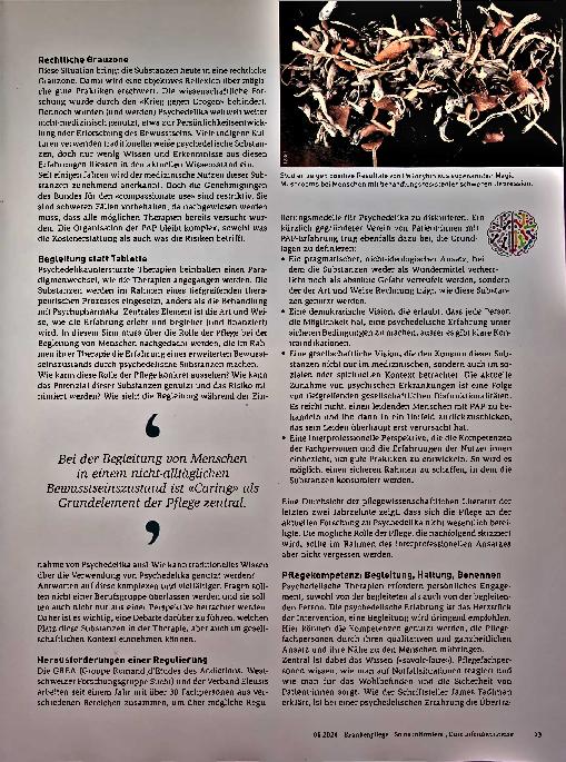 Vorschauseite 2: Psychedelika: die Pflege im Zentrum der Begleitung