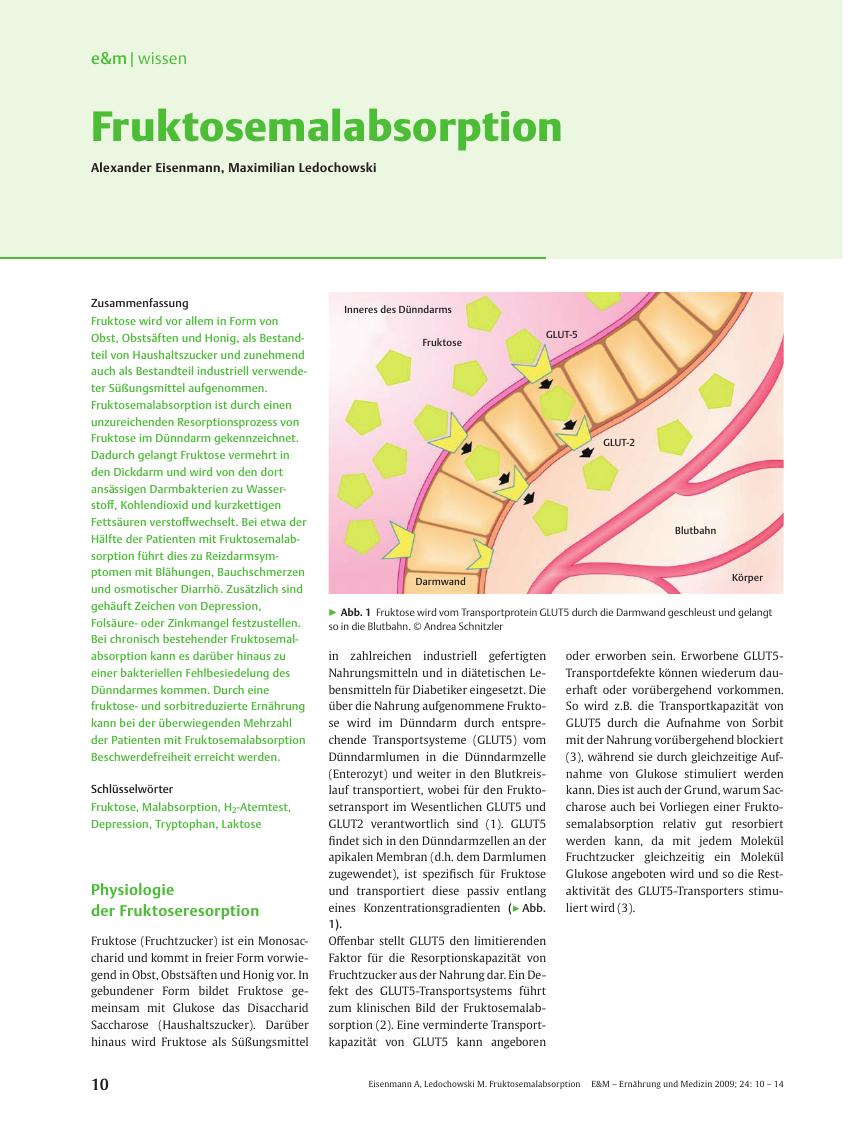 Vorschauseite 1: Fruktosemalabsorption