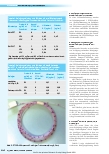 Vorschauseite 5: Bürstenlose Reinigung von PTFE-Prüfkörpern als Surrogat von Endoskopkanälen