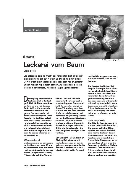 Vorschauseite 1: Maronen Leckerei vom Baum