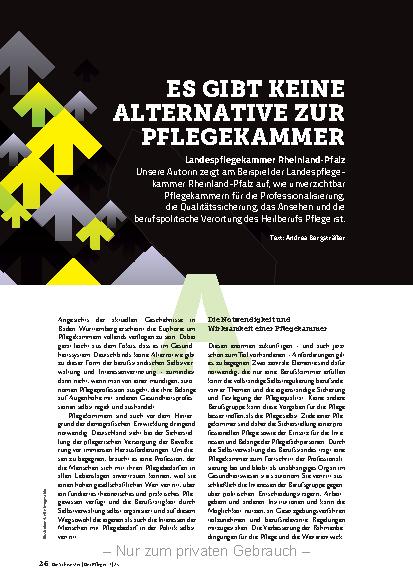 Vorschauseite 1: Es gibt keine Alternative zur Pflegekammer.