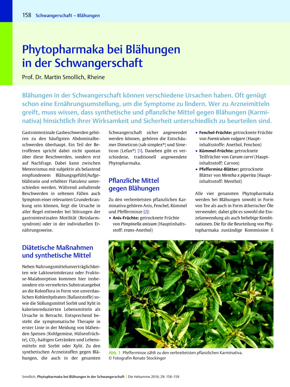 Vorschauseite 1: Phytopharmaka bei Blähungen in der Schwangerschaft