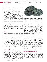 Vorschauseite 2: Geschichte der Forschungen über die Leber und ihre Krankheiten (Teil 1)
