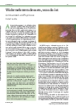 Vorschauseite 1: Wahrnehmen dessen, was da ist: Achtsamkeit und Psychose
