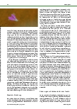 Vorschauseite 2: Wahrnehmen dessen, was da ist: Achtsamkeit und Psychose