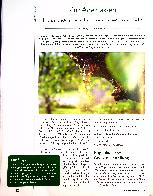 Vorschauseite 1: Zur Äderung lassen Phänomen-Analysen in biochronologischen Phasen, Teil 2.