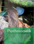 Vorschauseite 2: Depressive Verstimmungen und Schlafstörungen. Interventionen mit Medizinalpflanzen und bioaktiven Stoffen.