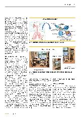 Vorschauseite 2: Vernetzte Einheiten in der Lungenfunktionsdiagnostik