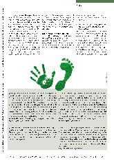 Vorschauseite 3: Gesundheit durch Umweltund Klimaschutz stärken. Die WFOT-Leitprinzipien: „Nachhaltigkeit ist wichtig“.