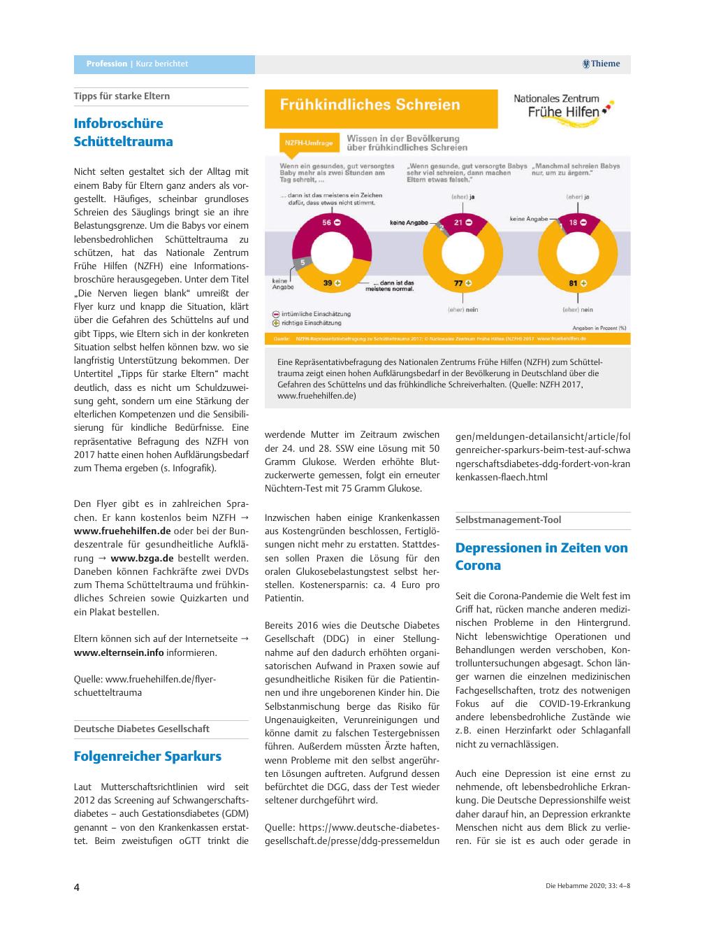 Vorschauseite 1: Infobroschüre Schütteltrauma