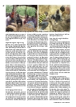 Vorschauseite 2: Soziale Psychiatrie in Westafrika: Die Arbeit einer deutsch-ivorischen Stiftung