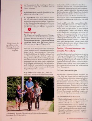 Vorschauseite 3: Pferdammt gut Hippotherapie bei chronischen Krankheiten
