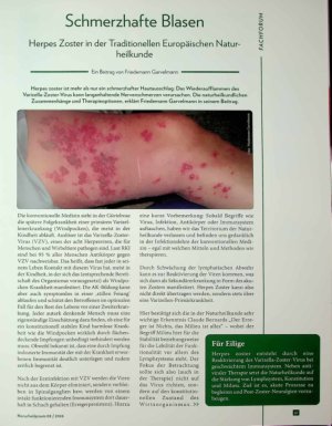 Vorschauseite 1: Schmerzhafte Blasen Herpes Zoster in der Traditionellen Europäischen Naturj Heilkunde