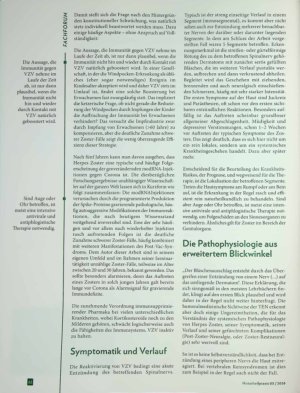 Vorschauseite 2: Schmerzhafte Blasen Herpes Zoster in der Traditionellen Europäischen Naturj Heilkunde