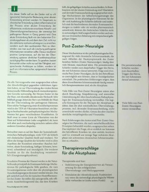 Vorschauseite 3: Schmerzhafte Blasen Herpes Zoster in der Traditionellen Europäischen Naturj Heilkunde
