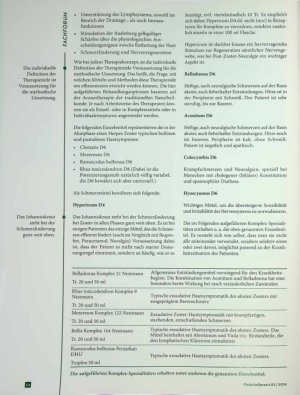Vorschauseite 4: Schmerzhafte Blasen Herpes Zoster in der Traditionellen Europäischen Naturj Heilkunde