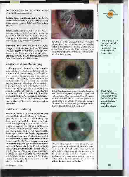 Vorschauseite 2: Einblick, Ausblick, Überblick. Verschiedene Blickwinkel auf die Praxis der Augendiagnose - Teil 3: Augendiagnose in die Zukunft tragen