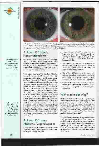 Vorschauseite 3: Einblick, Ausblick, Überblick. Verschiedene Blickwinkel auf die Praxis der Augendiagnose - Teil 3: Augendiagnose in die Zukunft tragen