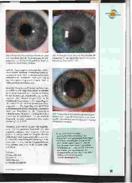 Vorschauseite 4: Einblick, Ausblick, Überblick. Verschiedene Blickwinkel auf die Praxis der Augendiagnose - Teil 3: Augendiagnose in die Zukunft tragen