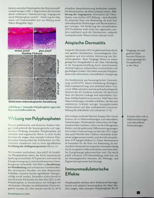 Vorschauseite 2: Tiefenwirkung Therapeutischer Ansatz bei atopischen Hauterkrankungen