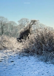 Vorschauseite 1: Winterzeit