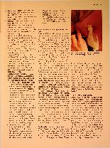Vorschauseite 4: Zufütterung an der Brust