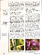 Vorschauseite 2: Salvia officinalis Arzneipflanze des Jahres 2023