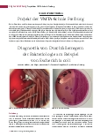 Vorschauseite 1: Diagnostik von Durchfallerregern der Bakteriologie am Beispiel von Escherichia coli
