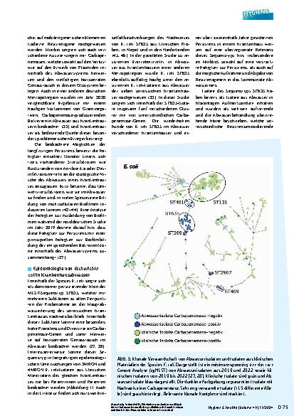 Vorschauseite 4: Präsenz und Persistenz Carbapenemase-produzierender Enterobacterales in Abwasser von Krankenhäusern