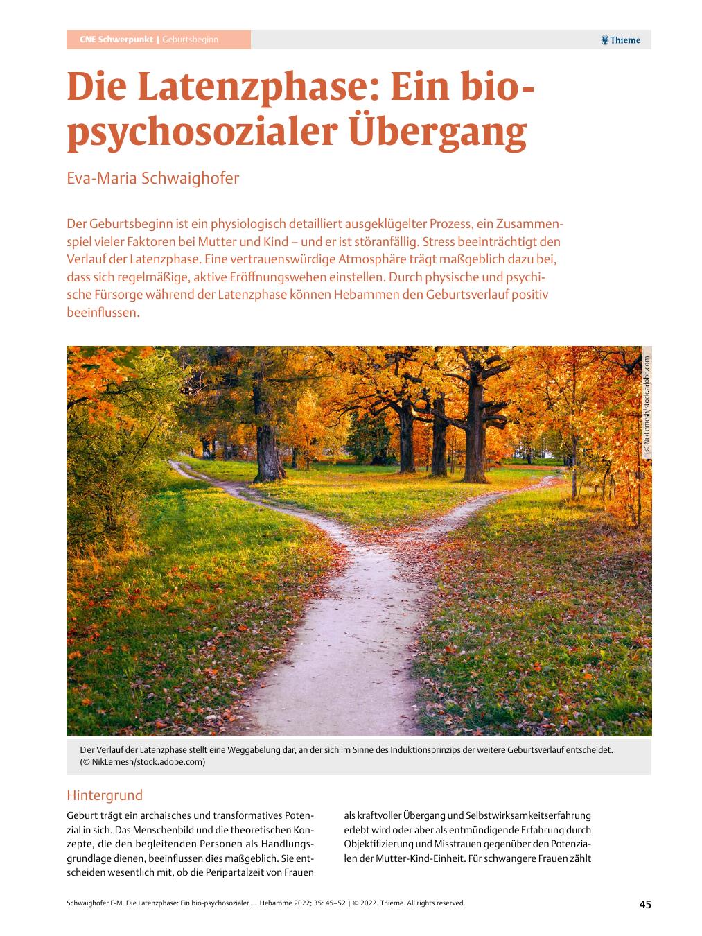 Vorschauseite 1: Die Latenzphase: Ein biopsychosozialer Übergang