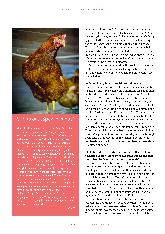 Vorschauseite 4: Menschenrechte für Tiere?