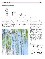Vorschauseite 5: Das Konzept der Bögen und Spiralen