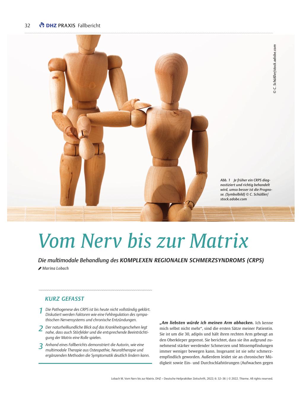 Vorschauseite 1: Vom Nerv bis zur Matrix