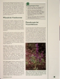 Vorschauseite 2: Antivirale Phytotherapie