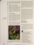 Vorschauseite 3: Antivirale Phytotherapie