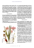 Vorschauseite 3: Corona und die Herbstzeitlose