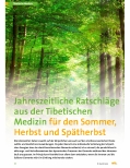 Vorschauseite 1: Jahreszeitliche Ratschläge aus der Tibetischen Medizin für den Sommer, Herbst und Spätherbst