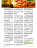 Vorschauseite 2: Jahreszeitliche Ratschläge aus der Tibetischen Medizin für den Sommer, Herbst und Spätherbst