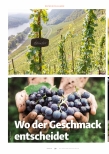 Vorschauseite 1: Wo der Geschmack entscheidet