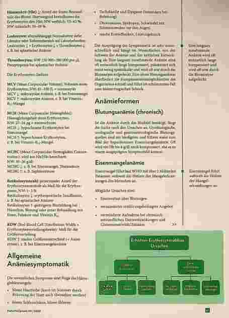 Vorschauseite 2: Anämie - Differenzialdiagnose und Therapiekonzepte