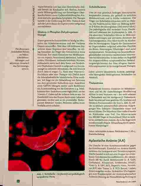 Vorschauseite 5: Anämie - Differenzialdiagnose und Therapiekonzepte