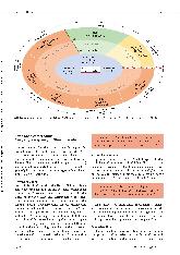 Vorschauseite 3: EvaPflege 0 Ein Qualitätstableau für die Evaluation generalistischer Pflege-Curricula
