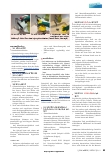 Vorschauseite 2: Praxisnahe Tipps für eine sachgerechte Reinigung und Desinfektion